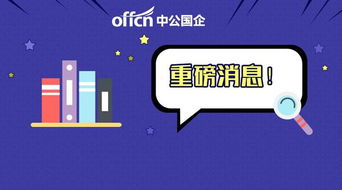 月薪3000-6000元加績效，無筆試計(jì)算機(jī)軟硬件開發(fā)崗位解析